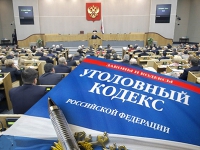 Комитет ГД не определился с декриминализацией