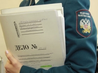 Правительству предложат создать фискальную полицию