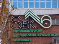 Росприроднадзор взыскивает 1,2 млрд руб. с обанкротившегося завода