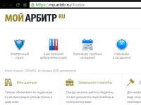 Кому отвечать за сбои в системе «Мой арбитр» - ответила экономколлегия ВС