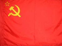 Госдума может ввести уголовное наказание за оскорбление чувств ветеранов ВОВ